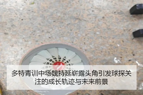 多特青训中场魏特延崭露头角引发球探关注的成长轨迹与未来前景